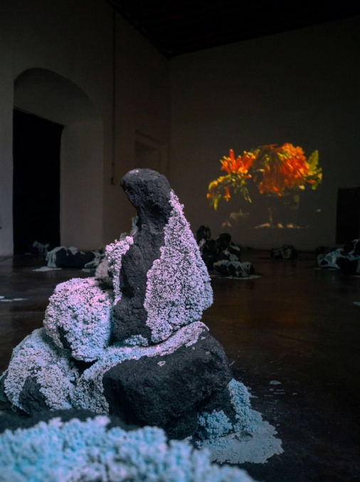 http://wiki.mirunadragan.com/files/gimgs/th-71_HGM-Coal-W_IMG_20220920_111751(1)_1.jpg