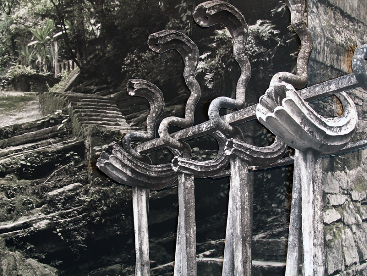 https://wiki.mirunadragan.com/files/gimgs/th-6_IMG_2470_Xilitla_W.jpg