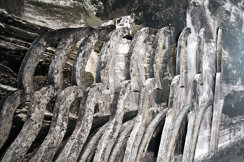 https://wiki.mirunadragan.com/files/gimgs/th-6_IMG_2473_Xilitla_W.jpg
